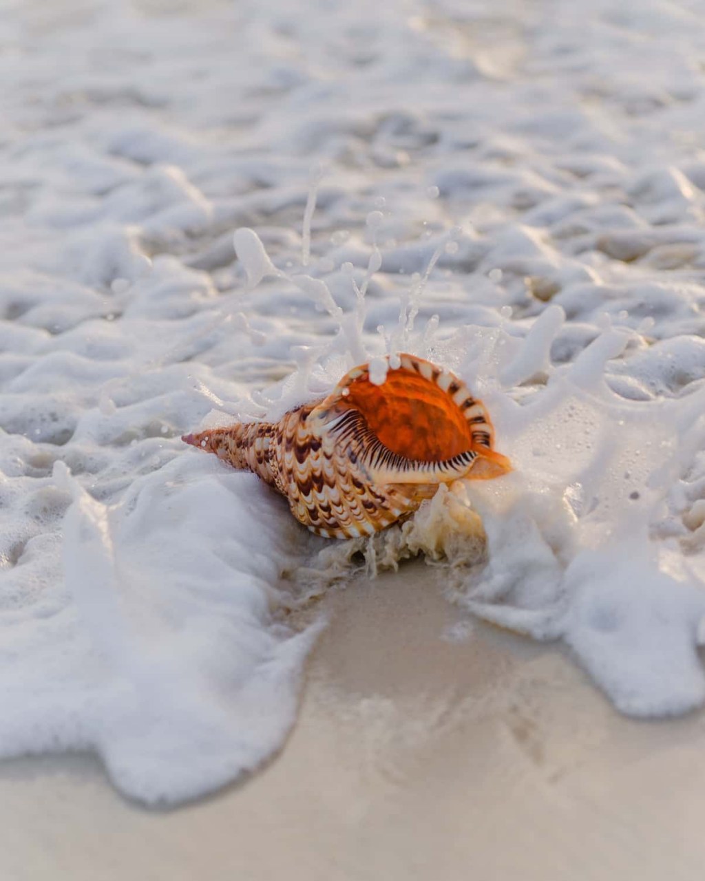 I have arrived, I am&nbsp;home